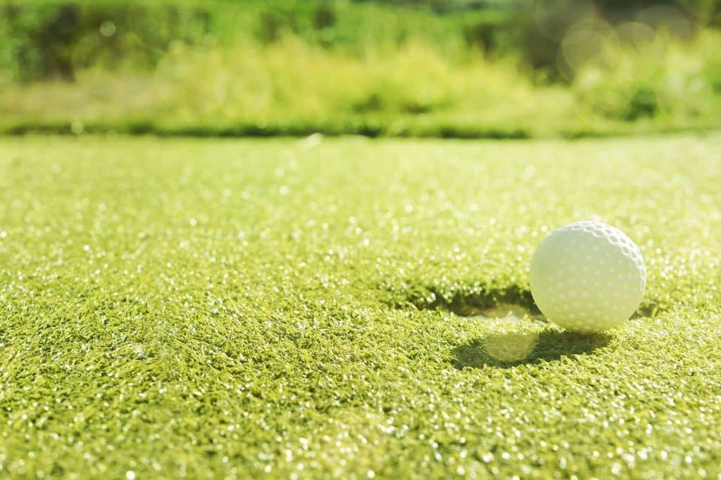 GOLF PRO+
